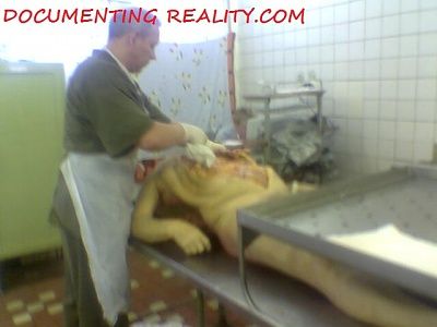 eastmorgue9.jpg