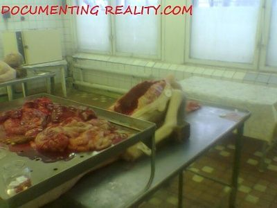 eastmorgue10.jpg