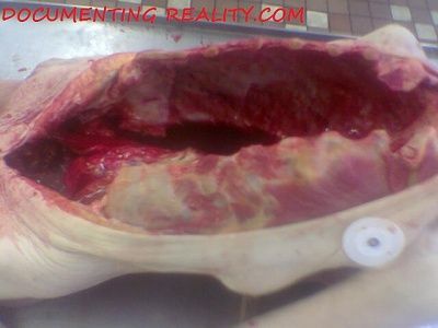 eastmorgue11.jpg
