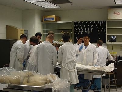 medschool.jpg