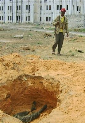 shallow-grave.jpg