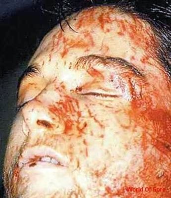 77939_dead-real008_123_656lo.jpg