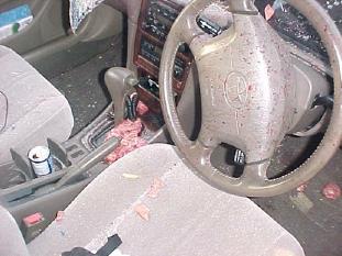 toyota7_small.jpg
