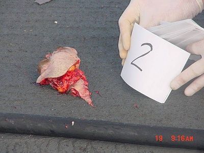 decapitation-helicopter-blades7.jpg