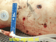 8fdb5211268553.gif