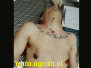052f7311268557.gif
