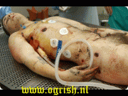 90eaec11268551.gif