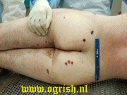 f8974d11268555.gif