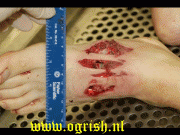 fe705511268549.gif