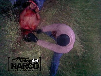 narco2.jpg