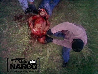 narco4.jpg