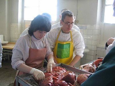 morgue4.jpg