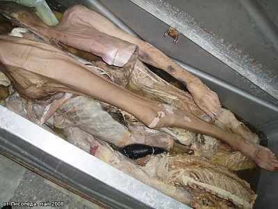 morgue6.jpg