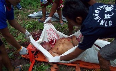 machete1.jpg