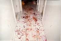 blood.jpg