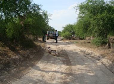 EL_TATA_05_276_EL_LLANO-382x284.jpg