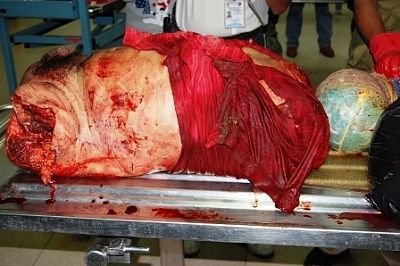 09_33_06_270_policias_cercenados.jpg