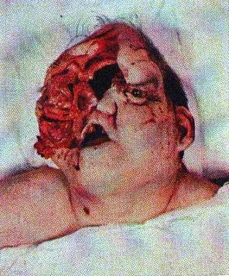 head7.jpg