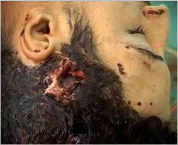 head1.jpg