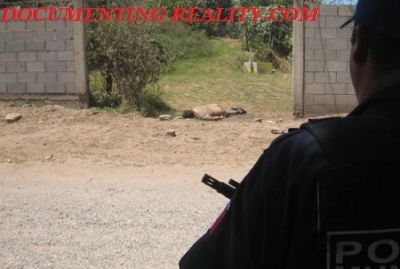 armed3.jpg