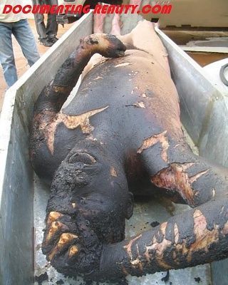 burnt-death2.jpg