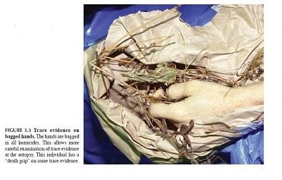 bagged-hands.jpg