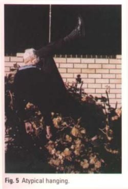 tnhanged3.jpg