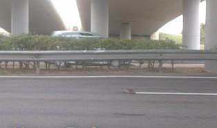 car2.JPG