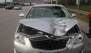 car5.JPG