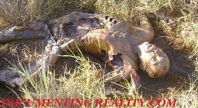 decomposed.jpg