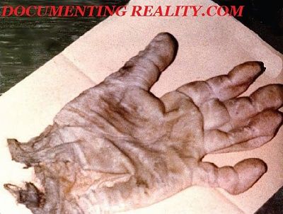glove.jpg