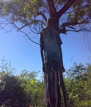 hanging from tree2.jpg