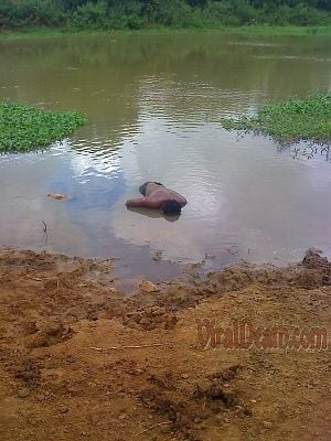 viraldeath_com-couldnt-swim-3.jpg