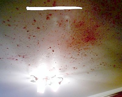 blood.jpg