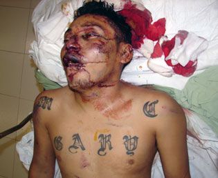 beaten1.jpg