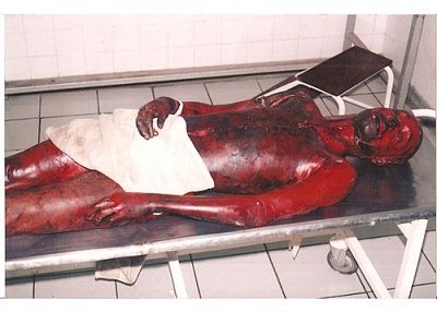 penicela-dead-500.jpg
