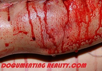 stitched-up-1-.jpg