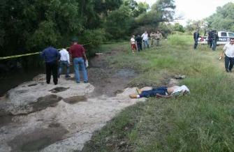 forest mexico3.jpg