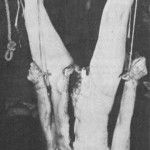 ed-gein-crime-scene-01-150x150[1].jpg