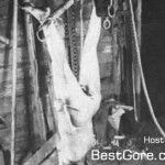 ed-gein-crime-scene-05-150x150[1].jpg