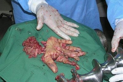 grinder17.jpg