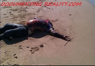 beach.jpg