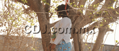 521_mujer-colgada-chavena-ppal.gif