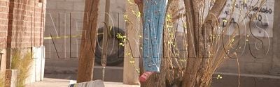 52418colgada1.jpg