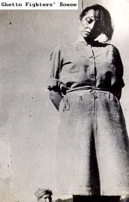 0000013881_1_web.jpg