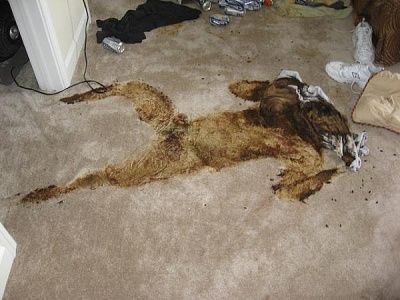 body1_img_assist_custom-600x450.jpg