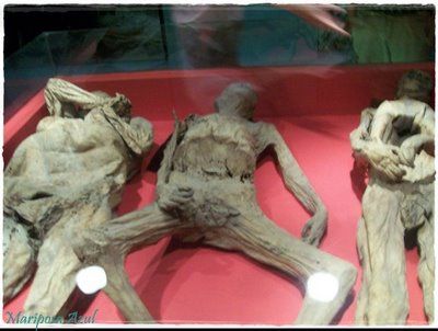 Mummies of Guanajuato, Mexico: Museo de las Momias, Bodies Exhumed 1865-1958 - 100 6900