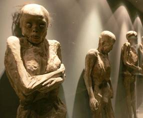 Mummies of Guanajuato, Mexico: Museo de las Momias, Bodies Exhumed 1865-1958 - GTO MOMIAS 2