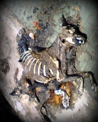 2884368750_c6ddfcae46.jpg