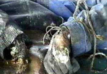 burned-body-6.jpg